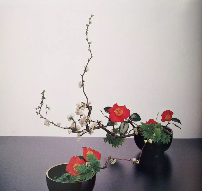 插花師要怎么學