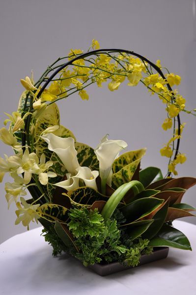 35歲零基礎(chǔ)學(xué)花藝師