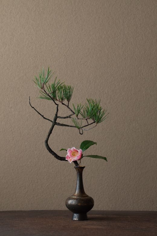 插花師要怎么學(xué)