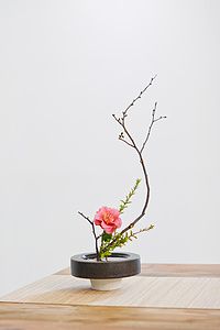零基礎學插花多少錢