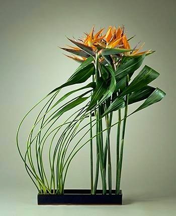 專業插花培訓學校