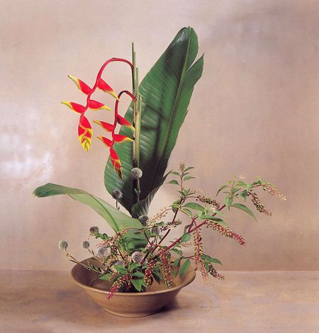 花藝師培訓(xùn)班學(xué)費(fèi)