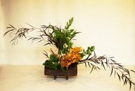 培訓(xùn)插花師學(xué)費(fèi)多少