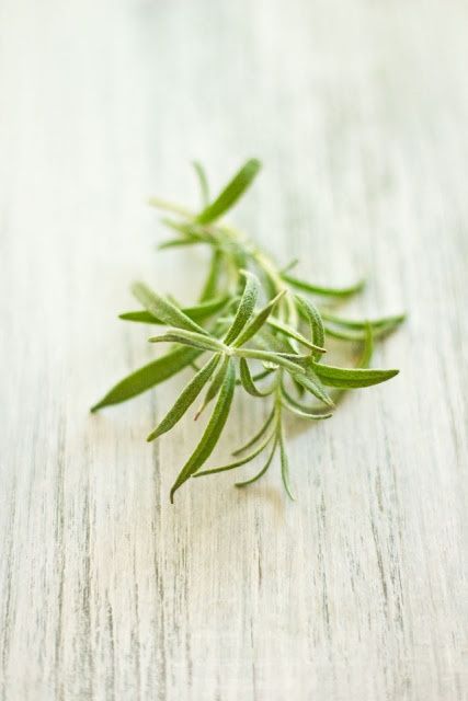 花藝師培訓哪里最好