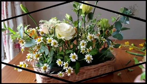 插花培訓(xùn)