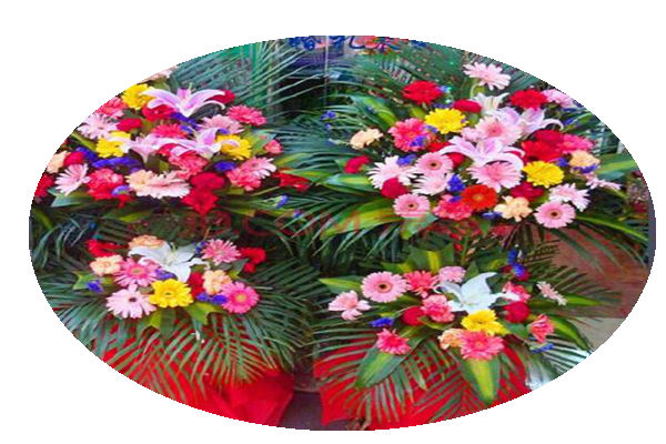u=3274507004,867931014&fm=26&gp=0.jpg