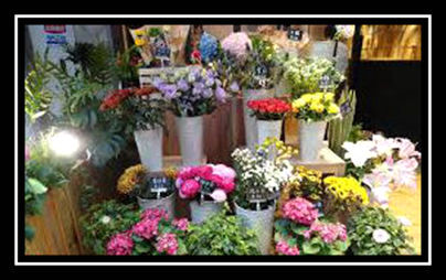 開花店的要求一般是什么適合新手沒有經(jīng)驗女生想開花店教程