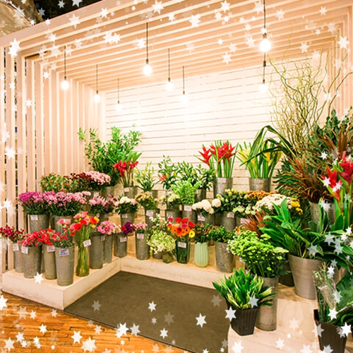 新手如何開花店？經營花店的要注意的八大問題