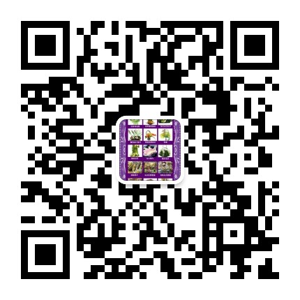 c4b6a53441c700224fad0a00233c5cd.jpg